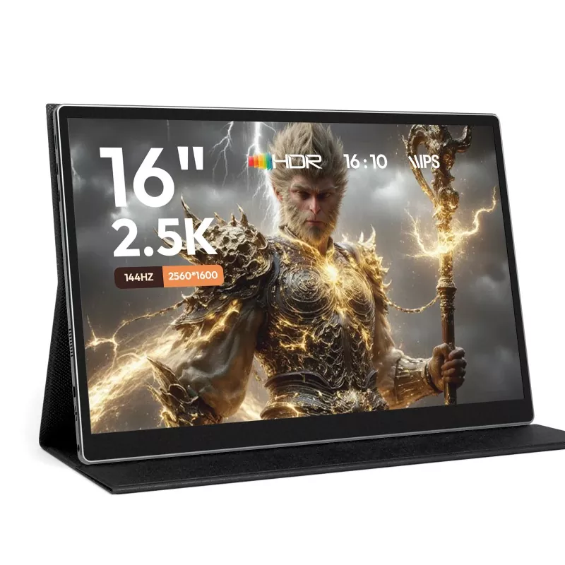 Kakšen prenosni monitor je vredno kupiti?